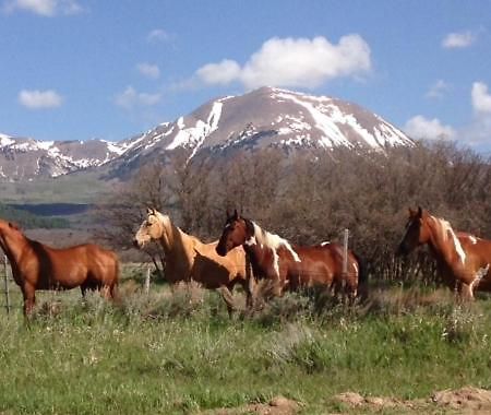 Mount Peale Country Inn La Sal Kültér fotó