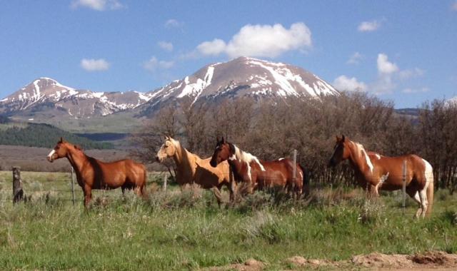 Mount Peale Country Inn La Sal Kültér fotó